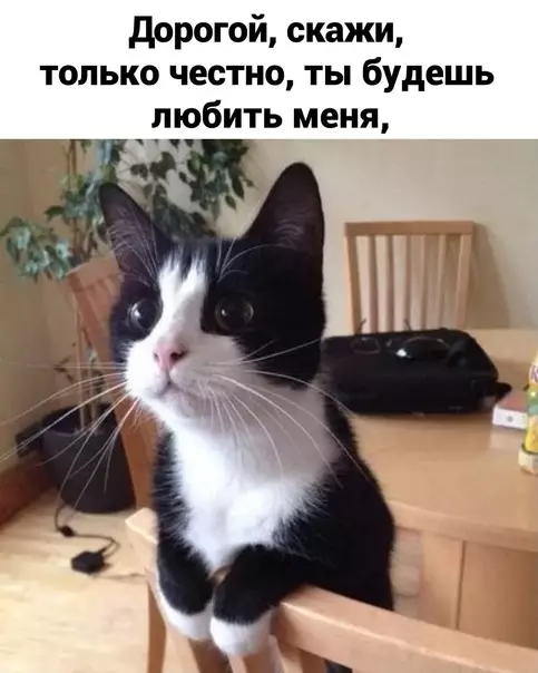 Смешная картинка №578848