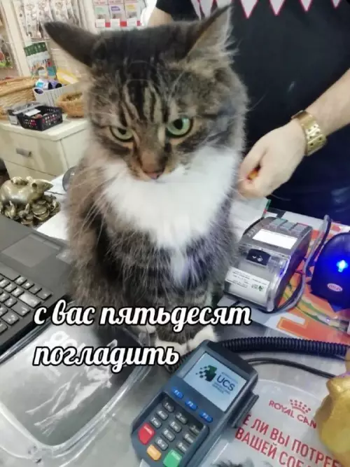 Смешная картинка №671834