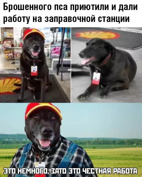 Смешная картинка №470801