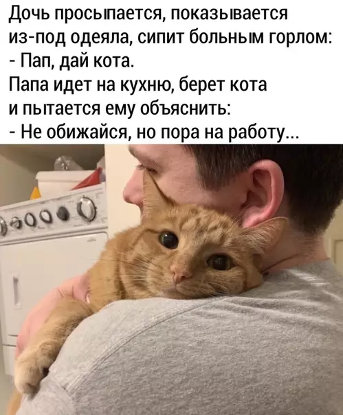 Смешная картинка №490923 Тяжёлая работа кота