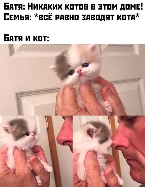 Смешная картинка №443367
