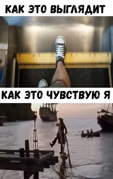 Смешная картинка №323169