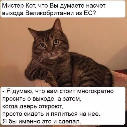 Смешная картинка №191316