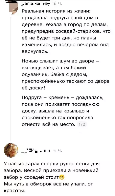 Деревенские разбойники: уровень профи 🕵️‍♂️ - Реальная история из жизни: продавала подруга свой дом в деревне.