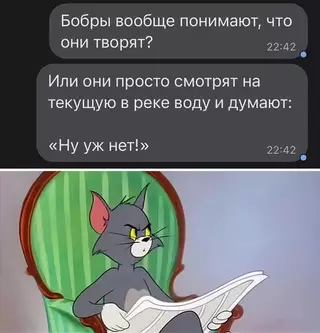 Смешная картинка №633486