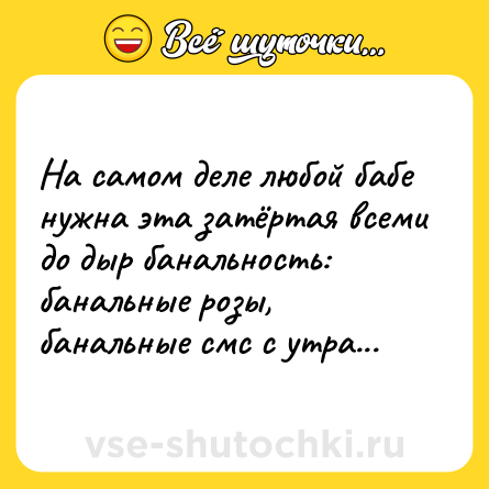 Шутка: На самом деле любой бабе нужна эта затёртая всеми до дыр банальность: банальные розы, банальные смс с утра...