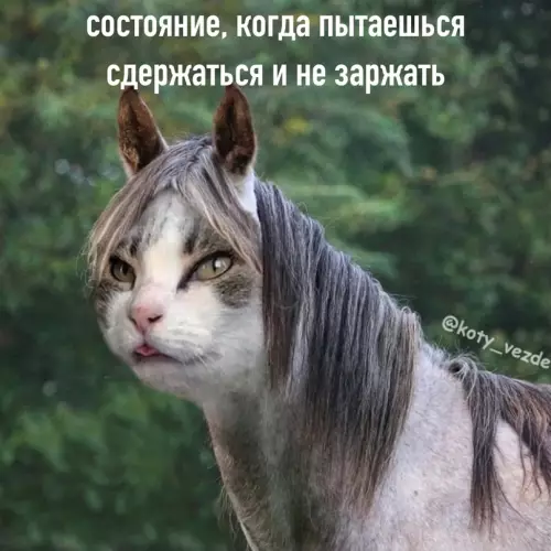 продолжение Смешная картинка №656372 Cocтoяния нa вce вpeмeнa