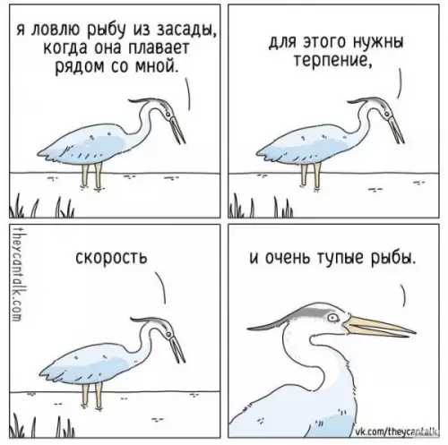 Смешная картинка №656282
