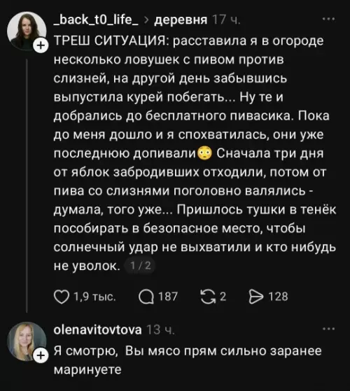 Куры под пивком 🍻🐔 - ТРЕШ СИТУАЦИЯ: расставила я в огороде несколько ловушек с пивом