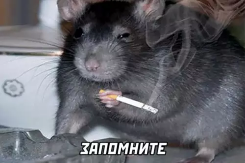 продолжение Смешная картинка №640737
