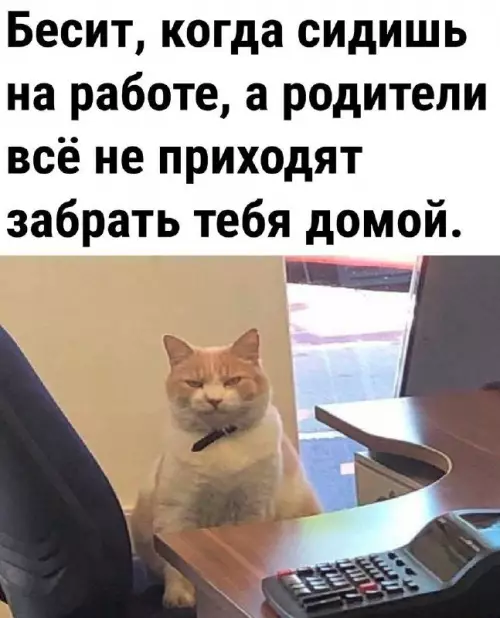 Смешная картинка №714543