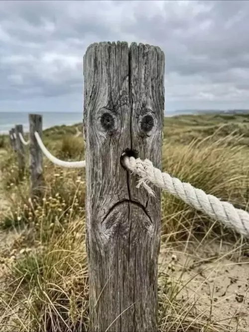 Когда утро началось не с кофе... 😩 - Нет текста