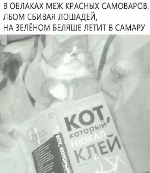Беляш летит в Самару! 🥟🚀 - В ОБЛАКАХ МЕЖ КРАСНЫХ САМОВАРОВ, ЛОБМ СБИВАЯ ЛОШАДЕЙ, НА ЗЕЛЕНОМ