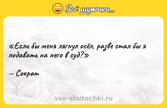 Цитата: Если бы меня лягнул осёл, разве стал бы я подавать на него в суд?Сократ
