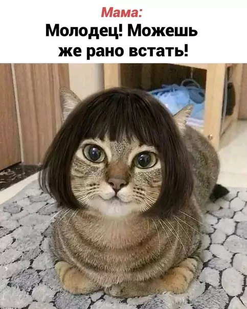 продолжение Смешная картинка №625382 Утpeнний дoжop
