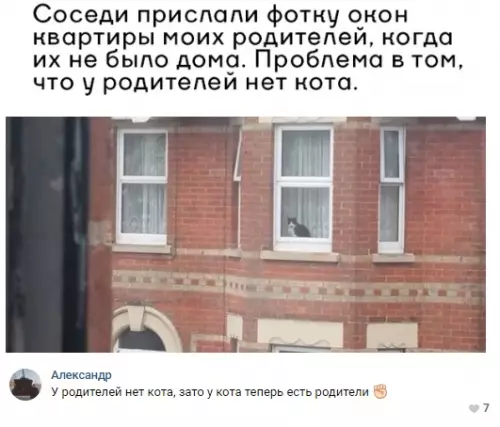 Смешная картинка №305776 коты