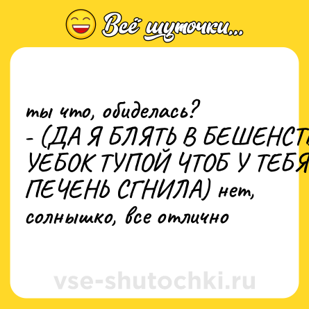 Шутка: ты что, обиделась? <br>- (ДА Я БЛЯТЬ В БЕШЕНСТВЕ УЕБОК ТУПОЙ ЧТОБ У ТЕБЯ ПЕЧЕНЬ СГНИЛА) нет, солнышко, все отлично