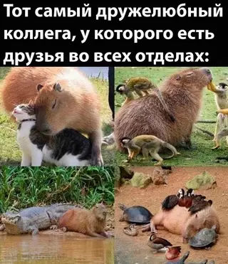 Смешная картинка №671445