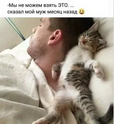 Смешная картинка №433177