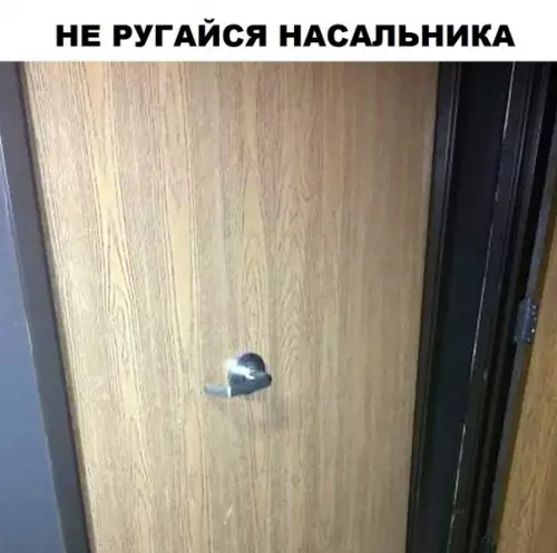 Смешная картинка №330477