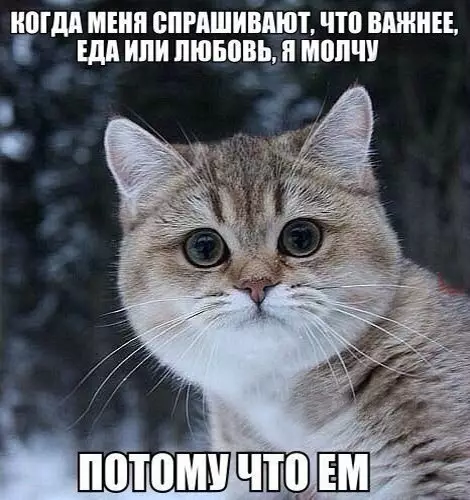 Смешная картинка №225954