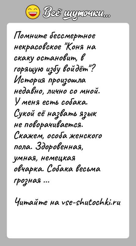 История: Помните бессмертное некрасовское Коня на скаку остановит, в горящую избу войдёт ?История произошла недавно, лично со мной. У меня есть собака.