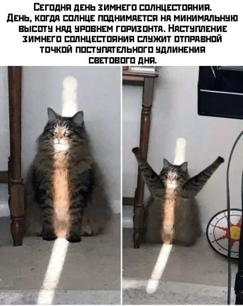 Смешная картинка №428101