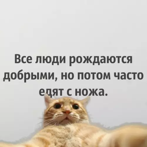 Смешная картинка №317542