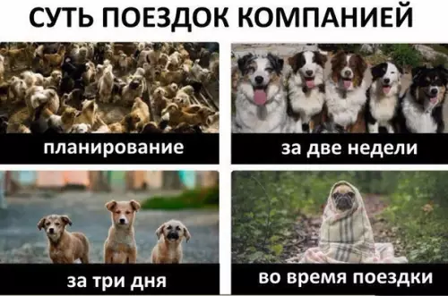 Смешная картинка №307885