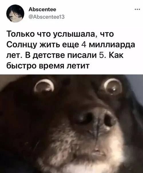 Смешная картинка №607764