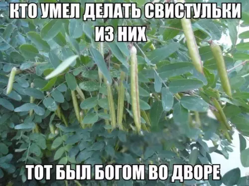 Смешная картинка №193016