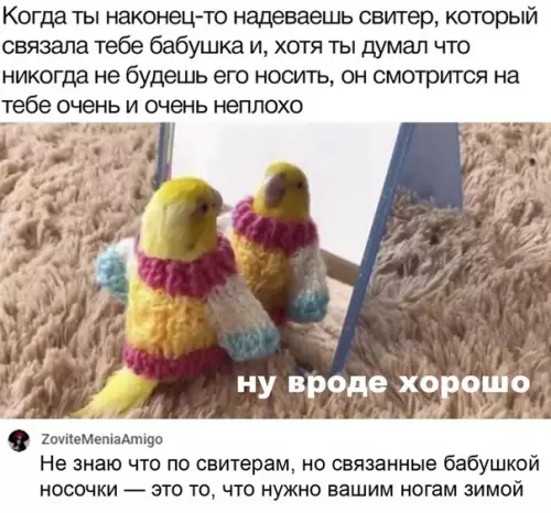 Смешная картинка №513307 это просто прекрасно