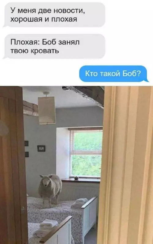 Смешная картинка №681951