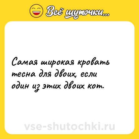 Шутка: Самая широкая кровать тесна для двоих, если один из этих двоих кот.
