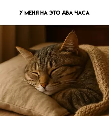 продолжение Смешная картинка №768203