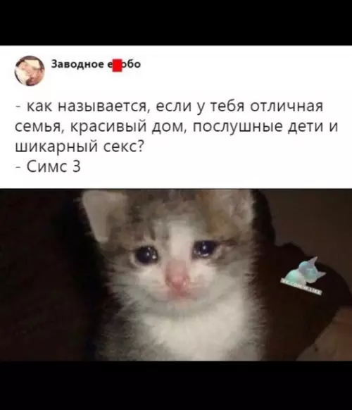 Смешная картинка №333736