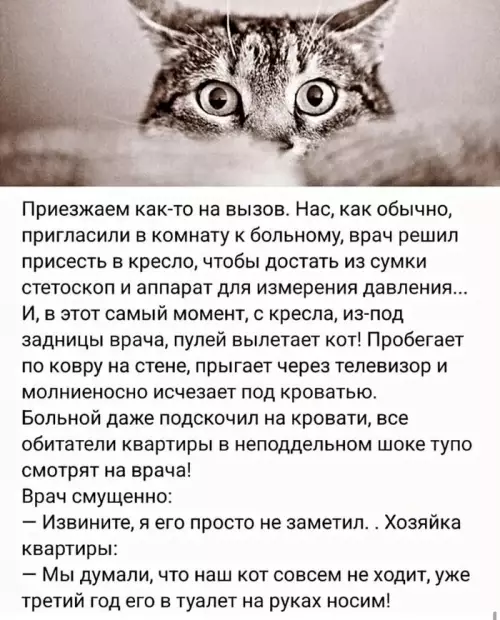 Неожиданный гость на вызове