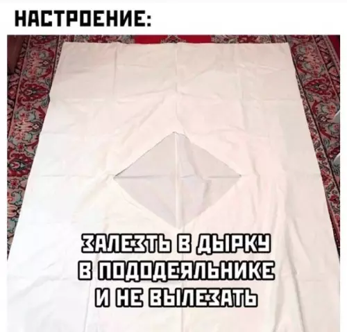 Хочу в домик! 🛌✨ - НАСТРОЕНИЕ: ЗАЛЕЗТЬ В ДЫРКУ В ПОДОДЕЯЛЬНИКЕ И НЕ ВЫЛЕЗАТЬ