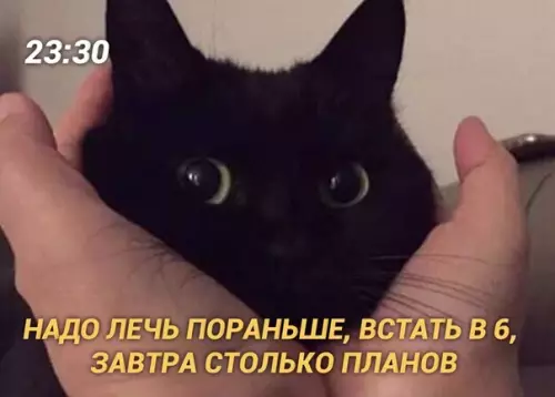 Смешная картинка №422655 Каждую ночь