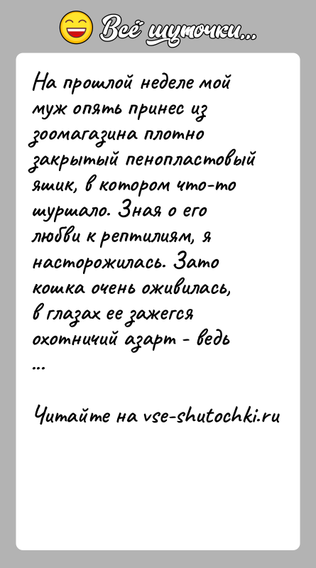 История: На прошлой неделе мой муж опять принес из зоомагазина плотно закрытый пенопластовый яшик, в котором что-то шуршало. Зная о его