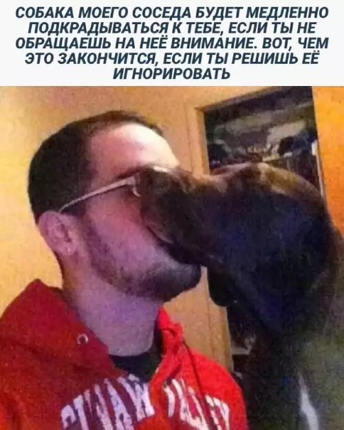 Смешная картинка №672816