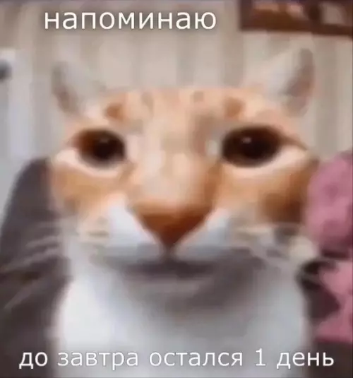 Смешная картинка №779519
