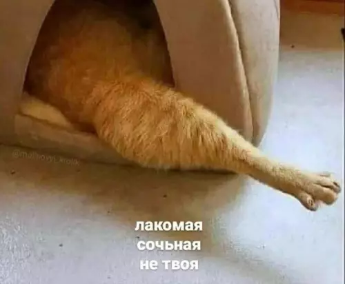 Смешная картинка №723736