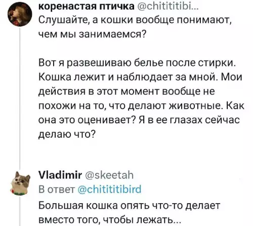 Смешная картинка №752195