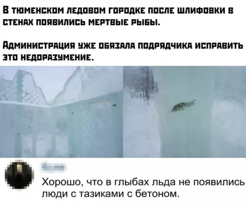 Смешная картинка №430654