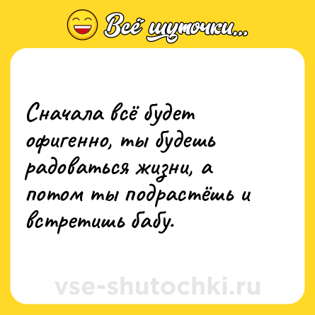 Шутка: Сначала всё будет офигенно, ты будешь радоваться жизни, а потом ты подрастёшь и встретишь бабу.