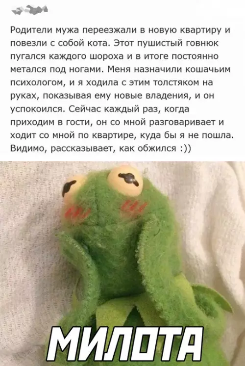 Смешная картинка №684673