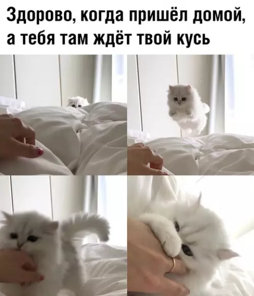 Смешная картинка №388862 Значит это твой дом