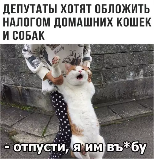 Смешная картинка №284666