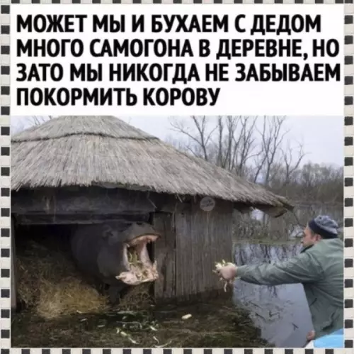 Смешная картинка №641660
